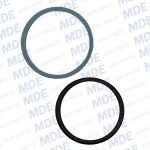 Seal Ring