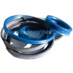 CNH Front Seering Ram Seal Kit